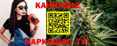 стаф Брянск