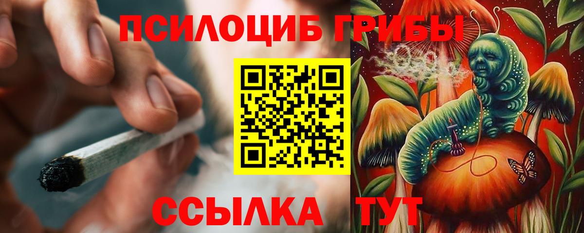 Вязьма  Псилоцибиновые грибы Magic Shrooms  Псилоцибиновые грибы Magic Shrooms  Вход с VPN 